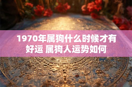 1970年属狗什么时候才有好运 属狗人运势如何