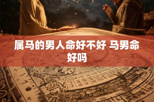 属马的男人命好不好 马男命好吗