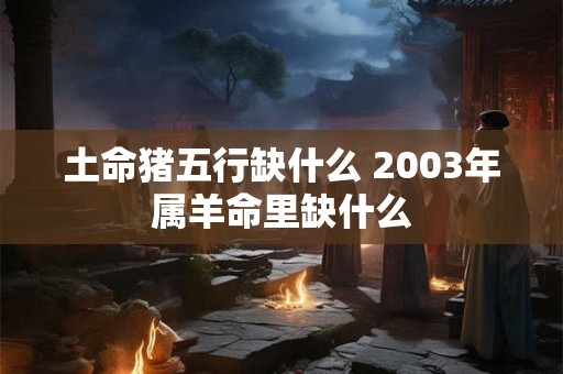 土命猪五行缺什么 2003年属羊命里缺什么 土命猪五行缺什么 2003年属羊命里缺什么