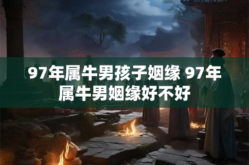 97年属牛男孩子姻缘 97年属牛男姻缘好不好
