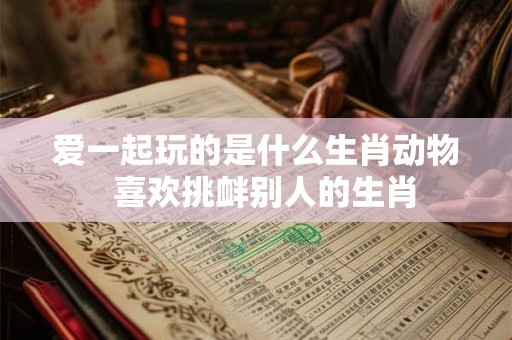 爱一起玩的是什么生肖动物 喜欢挑衅别人的生肖 爱一起玩的是什么生肖动物 喜欢挑衅别人的生肖
