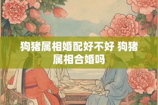 狗猪属相婚配好不好 狗猪属相合婚吗