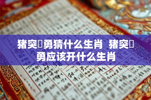 猪突豨勇猜什么生肖  猪突豨勇应该开什么生肖