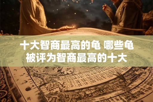 十大智商最高的龟 哪些龟被评为智商最高的十大 十大智商最高的龟 哪些龟被评为智商最高的十大