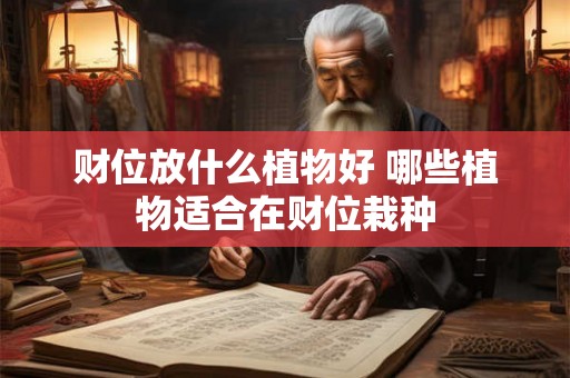 财位放什么植物好 哪些植物适合在财位栽种