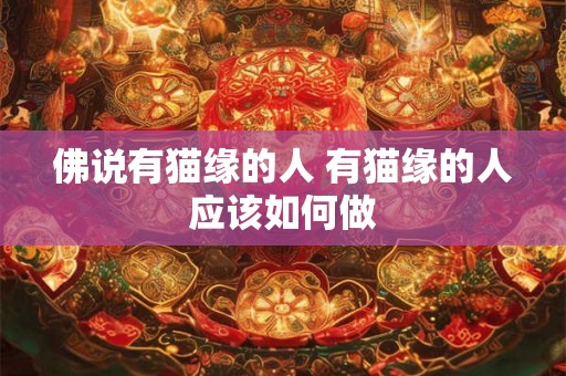 佛说有猫缘的人 有猫缘的人应该如何做