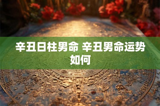 辛丑日柱男命 辛丑男命运势如何