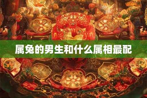 属兔的男生和什么属相最配