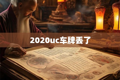 2020uc车牌丢了