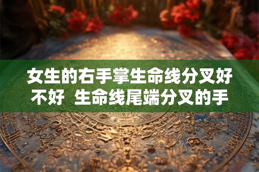女生的右手掌生命线分叉好不好  生命线尾端分叉的手相