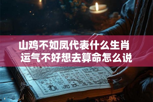 山鸡不如凤代表什么生肖  运气不好想去算命怎么说