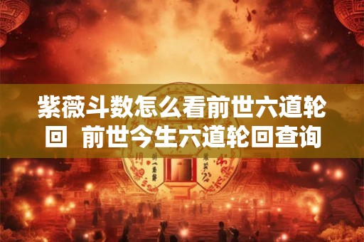 紫薇斗数怎么看前世六道轮回  前世今生六道轮回查询
