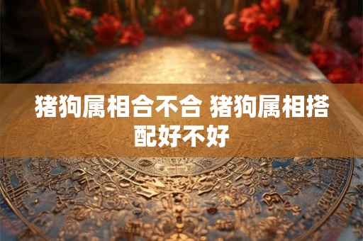 猪狗属相合不合 猪狗属相搭配好不好