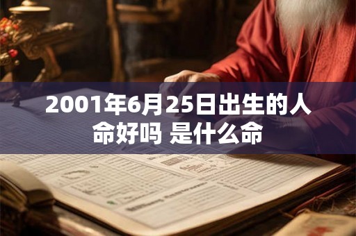 2001年6月25日出生的人命好吗 是什么命
