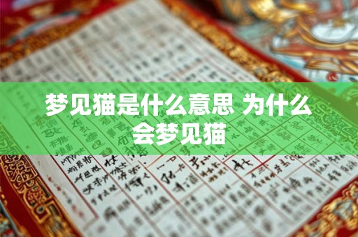 梦见猫是什么意思 为什么会梦见猫