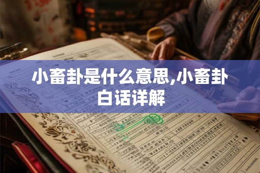 小畜卦是什么意思,小畜卦白话详解