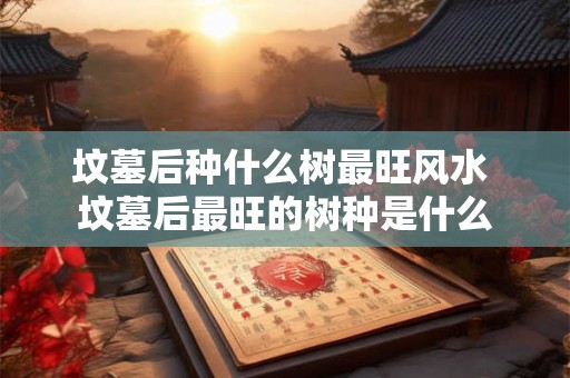 坟墓后种什么树最旺风水 坟墓后最旺的树种是什么