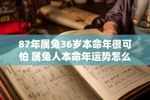 87年属兔36岁本命年很可怕 属兔人本命年运势怎么样 87年属兔36岁本命年很可怕 属兔人本命年运势怎么样