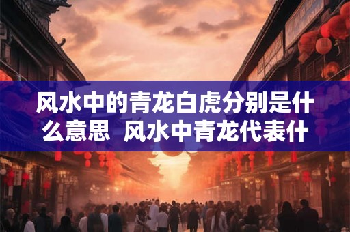 风水中的青龙白虎分别是什么意思  风水中青龙代表什么