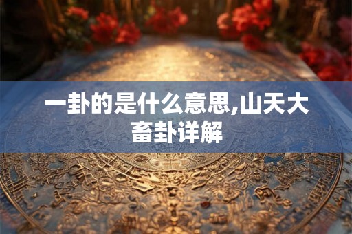 一卦的是什么意思,山天大畜卦详解