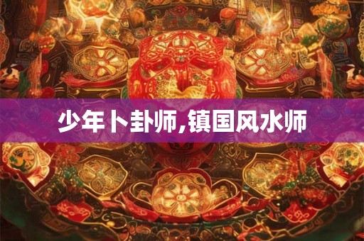 少年卜卦师,镇国风水师