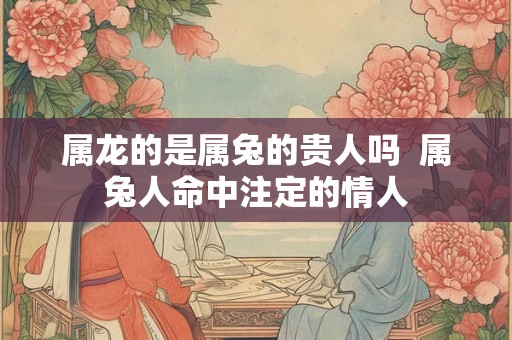 属龙的是属兔的贵人吗  属兔人命中注定的情人