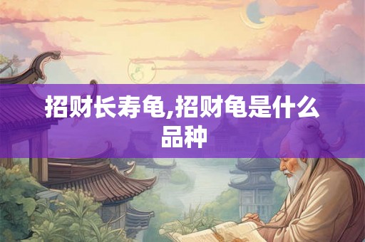 招财长寿龟,招财龟是什么品种
