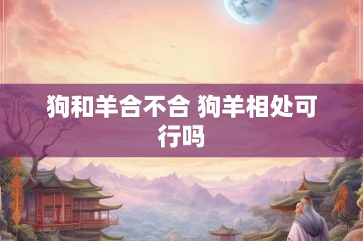 狗和羊合不合 狗羊相处可行吗