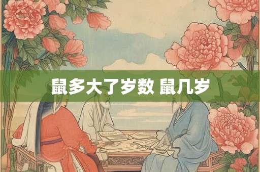 鼠多大了岁数 鼠几岁