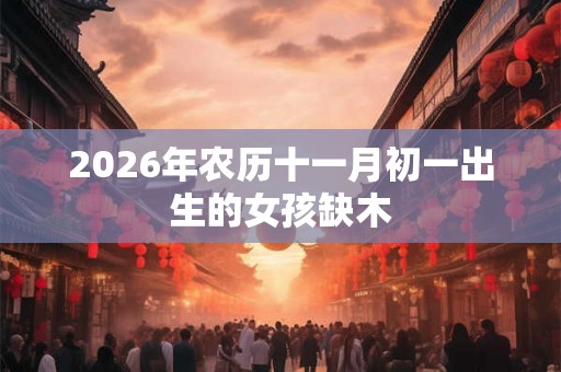 2026年农历十一月初一出生的女孩缺木 2026年农历十一月初一出生的女孩缺木