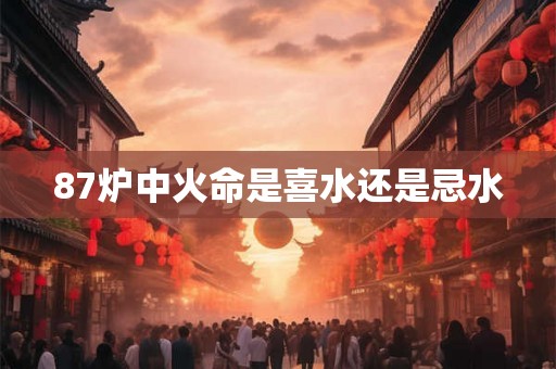 87炉中火命是喜水还是忌水