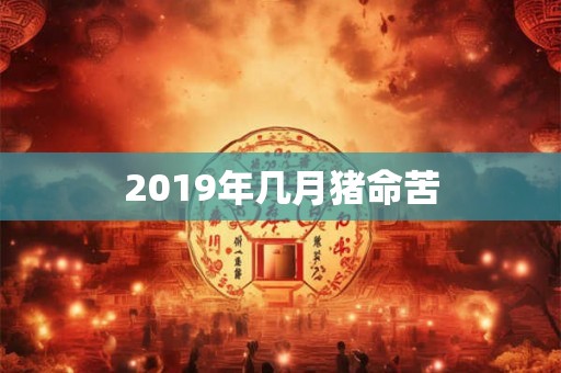 2019年几月猪命苦