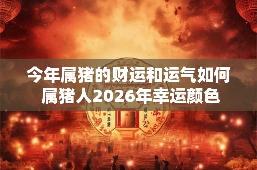 今年属猪的财运和运气如何 属猪人2026年幸运颜色 今年属猪的财运和运气如何 属猪人2026年幸运颜色