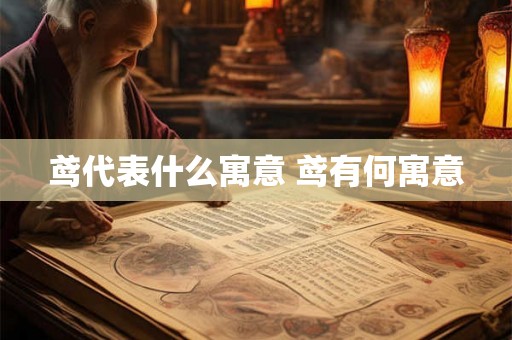 鸢代表什么寓意 鸢有何寓意