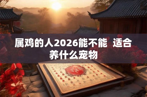 属鸡的人2026能不能 适合养什么宠物 属鸡的人2026能不能 适合养什么宠物