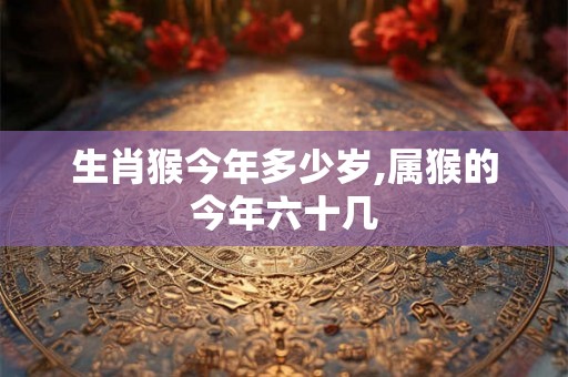 生肖猴今年多少岁,属猴的今年六十几