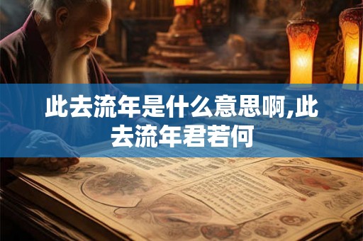 此去流年是什么意思啊,此去流年君若何