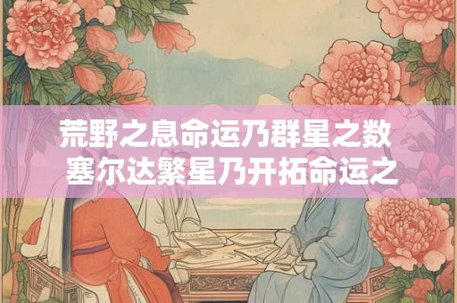 荒野之息命运乃群星之数  塞尔达繁星乃开拓命运之路标