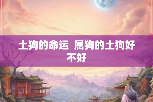 土狗的命运  属狗的土狗好不好