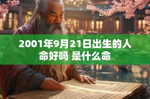 2001年9月21日出生的人命好吗 是什么命