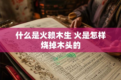 什么是火赖木生 火是怎样烧掉木头的 什么是火赖木生 火是怎样烧掉木头的