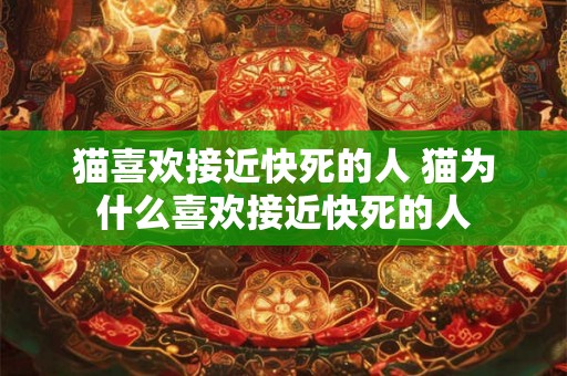 猫喜欢接近快死的人 猫为什么喜欢接近快死的人