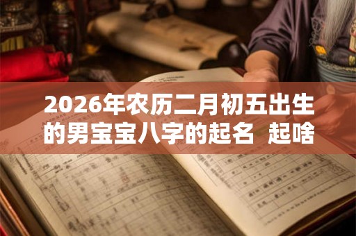 2026年农历二月初五出生的男宝宝八字的起名  起啥名字比较吉利