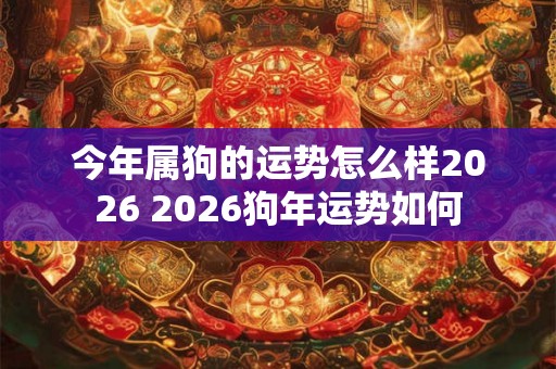 今年属狗的运势怎么样2026 2026狗年运势如何