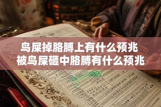 鸟屎掉胳膊上有什么预兆 被鸟屎砸中胳膊有什么预兆