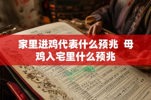 家里进鸡代表什么预兆  母鸡入宅里什么预兆