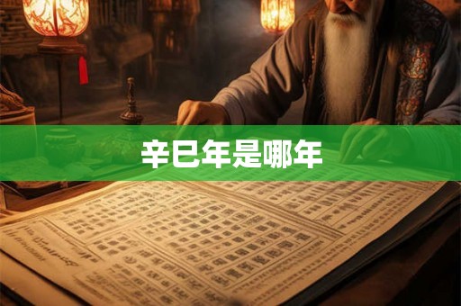 辛巳年是哪年