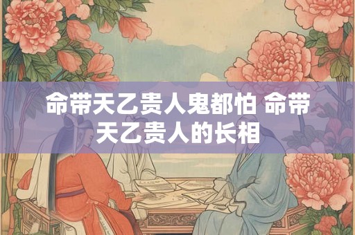 命带天乙贵人鬼都怕 命带天乙贵人的长相