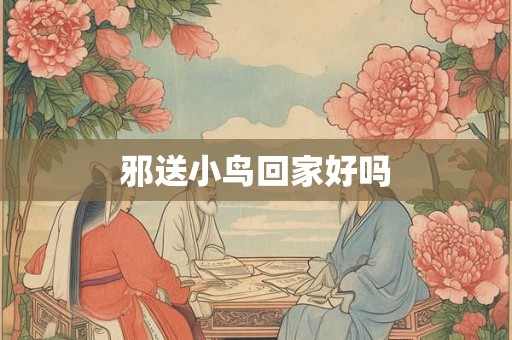 邪送小鸟回家好吗
