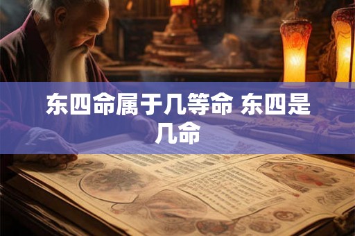 东四命属于几等命 东四是几命